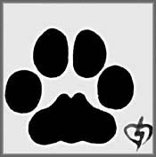 Paw Print: Mountain Lion